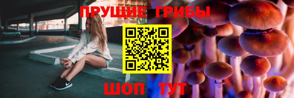 Галлюциногенные грибы Psilocybe  Вход с VPN  Сертолово 